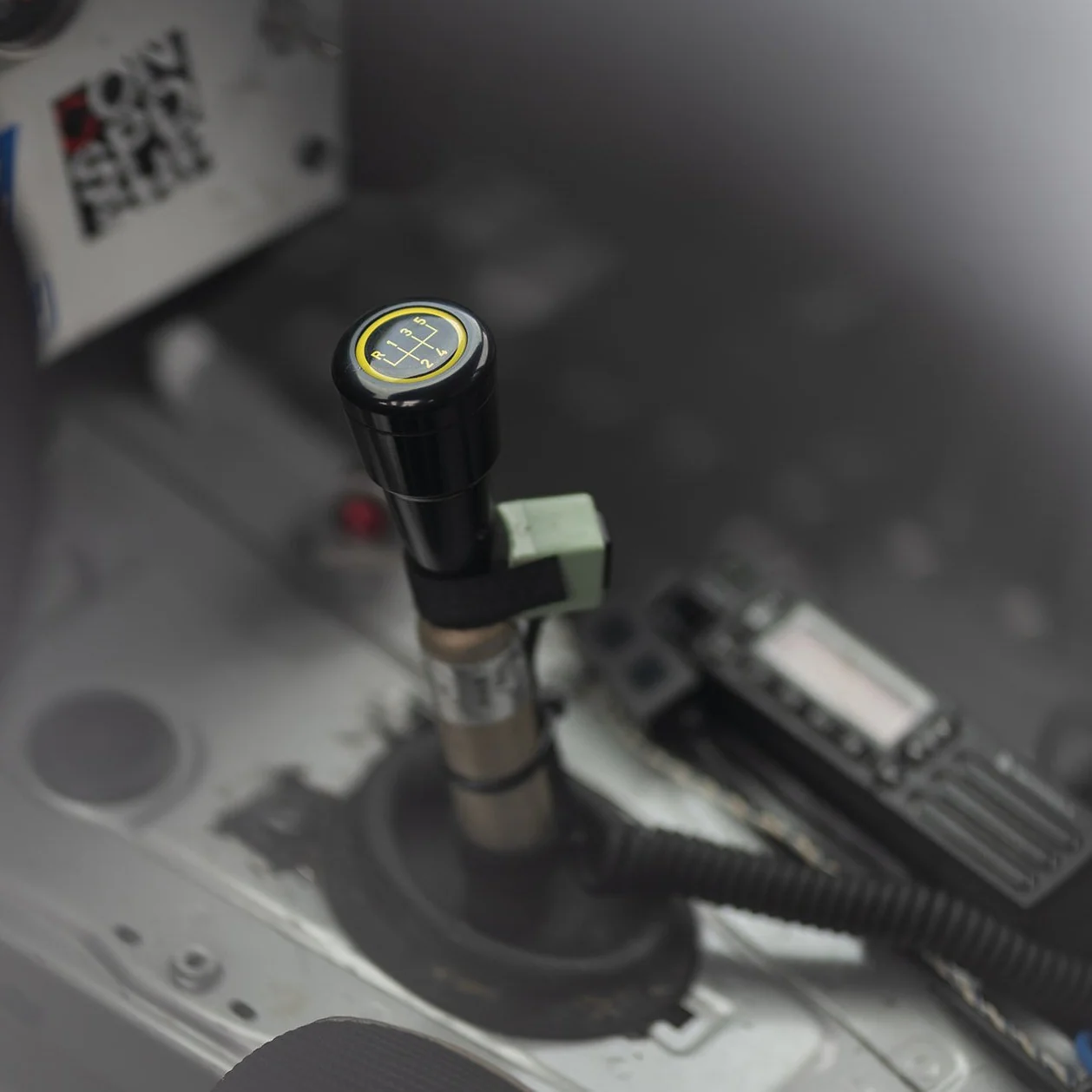 Latest Condor Arrivals